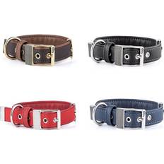 MyFamily Hundar - Hundhalsband & Selar Husdjur MyFamily Hundehalsband kunstleder halsband hund 6 größen 4 farben top