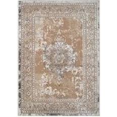 The Rug House Luxury Traditional Medallion Beige