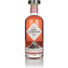Beer & Spirits Loch Lomond Ben Lomond Raspberry & Elderflower Gin 38% 70cl