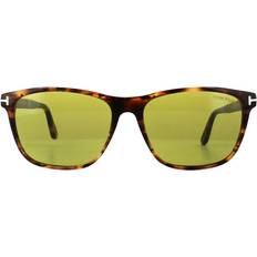 Tom Ford Unisex Sunglasses Tom Ford FT0629 Nicolo 55N Havana/Green