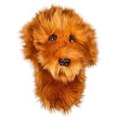 Brand Fusion Daphne's Golf Huvudskydd Doodle Hund