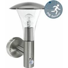 Brushed Motion Sensor Activated