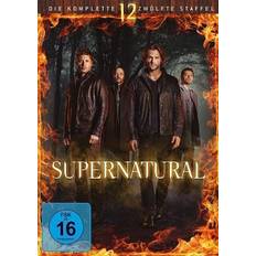 Supernatural Staffel 12 DVD-Box