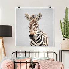 Weiß Poster Baby Zebra Zoey Poster