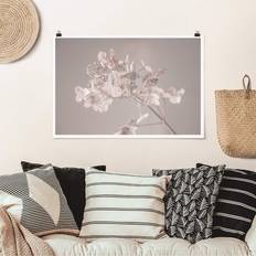 Delicate White Hydrangea Poster