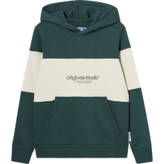 Barneklær Jack & Jones Junior Magical Lakewood Colorblock Sweat Hoodie-164