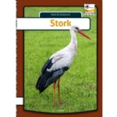 Stork engelsk (Indbundet)