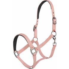 Imperial Riding 2023 Classic Sport Head Collar Rosy