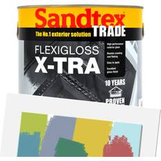 Paint Sandtex Flexigloss X-Tra Tinted 2.5L