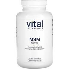 MSM 1000mg - 240 Capsules