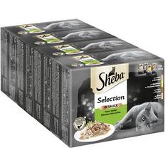 Sheba Haustiere Sheba selection in sauce katzennassfutter feine vielfalt fisch 48er