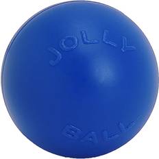 Jolly Pets Push-N-Play Dog Ball