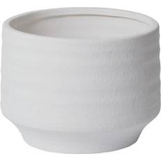 Pots, Plants & Cultivation Joss & Main Amren Pot Planter white