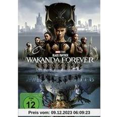 Film Black Panther: Wakanda Forever