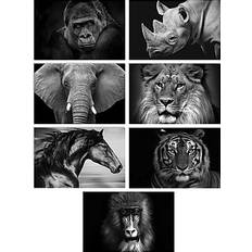 Black Cards & Invitations Better Office Wild Animal Portraits Cards with Envelopes, 4" x 6" Black/White, 50/Pack 64640-50PK Black