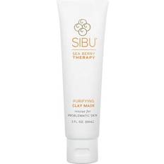 Berry Therapy Purifying Clay Mask 2