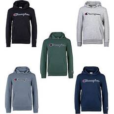 Champion Hoodies Champion Unisex, Pullover, Sweatshirt Casual Locker sitzend, Grau