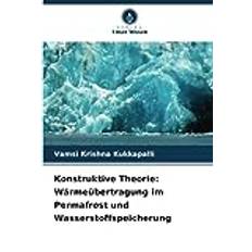 Konstruktive Theorie: Wärmeübertragung im Permafrost und Wasserstoffspeicherung Pocketbok