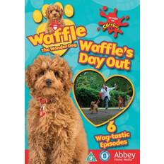 Waffle The Wonder Dog Waffle's Day Out DVD [2019]