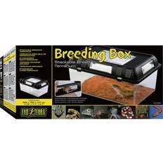 Breeding Box Medium
