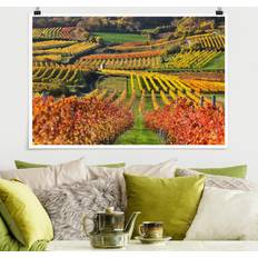 Naturel Affiches Poster Vue Sur Le Vignoble Affiche