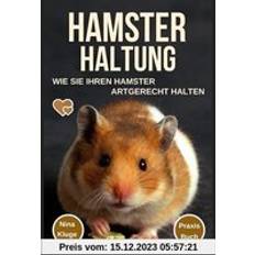 Hamster Haltung: Wie Sie Ihren Hamster