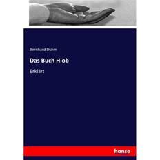 Norwegian-Bokmål Books Das Buch Hiob (2020)