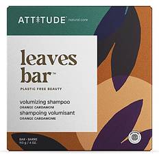 Blad Orange Kardemumma Shampoo 113 g