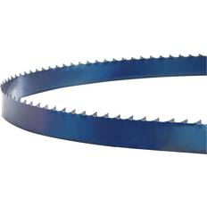 Holzstar Lame de scie pour scies verticales HBS251 5160252