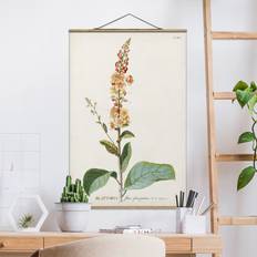 Illustrazione Botanica Vintage Mullein Poster