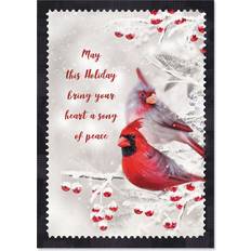 Christmas Cards & Invitations Winter Cardinal Christmas Cards Set of 18, Religious Themed Holiday Greeting Card Value Pack, Large 5 x 7 Inch Size, Envelopes Included