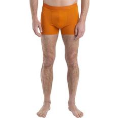 Merino Wool Men's Underwear Icebreaker Anatomica Cool-Lite Boxer Men's