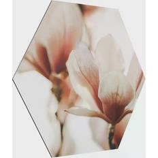 Delicate Magnolia Flowers in the Play of Light Satin Matt Art encadré 25x22cm