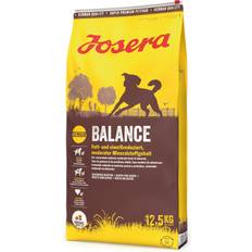 Senior Balance Dog Dry Food