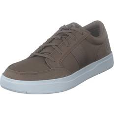 Timberland Davis Square F/l Ox Sneaker Ba Taupe Gray, Male, Skor, Sneakers, Sneakers, Brun