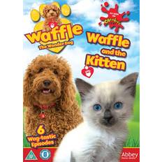 Waffle The Wonder Dog Waffle And The Kitten [DVD]