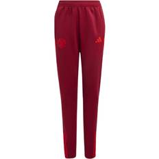 adidas Man Utd EU Training Pants - Burgundy