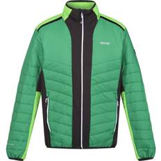 Regatta 3XL, Field Green/Jasmine Green Mens Halton VII Contrast Panel Baffled Padded Jacket