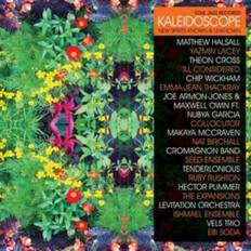 Miscellaneous Vinyl Kaleidoscope Deluxe 3lp 7" Edition LP] (Vinyl)