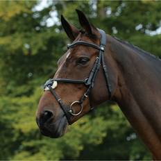 Equestrian Collegiate 2022 Comfitec Grackle Bridle Black