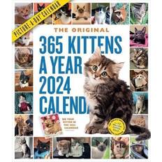 365 Kittens A-Year Picture-A-Day Wall Calendar 2024-Workman