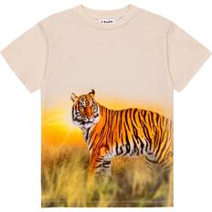 Tigere T-skjorter Molo Tiger Sand T-Shirt-10 år