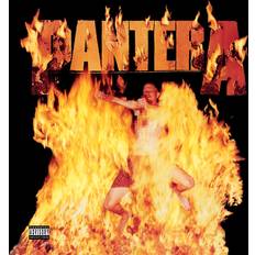 Pantera Reinventing the Steel (Vinyl)