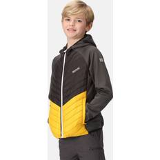 Regatta 'Kielder Hybrid VII' Padded Insulated Jacket Grey Years