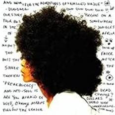 Worldwide Underground Erykah Badu (Vinyl)