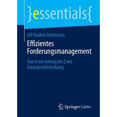 Effizientes Forderungsmanagement Ulf Haakon Dammann 9783658301811