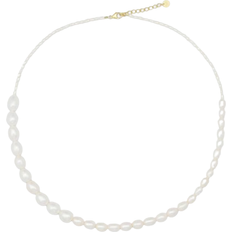 Sorelle Jewellery Windy Necklace - Gold/Pearl