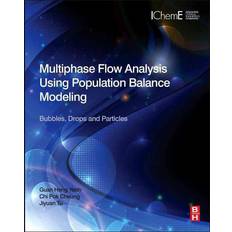 Multiphase Flow Analysis Using Population Balance Modeling Guan Heng Professor Yeoh 9780080982298 (Indbundet)