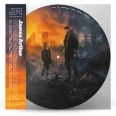 It'll All Make Sense In The End Picture exklusiv bei Amazon.de LP] (Vinyl)
