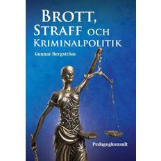 Brott, straff och kriminalpolitik, E-bok